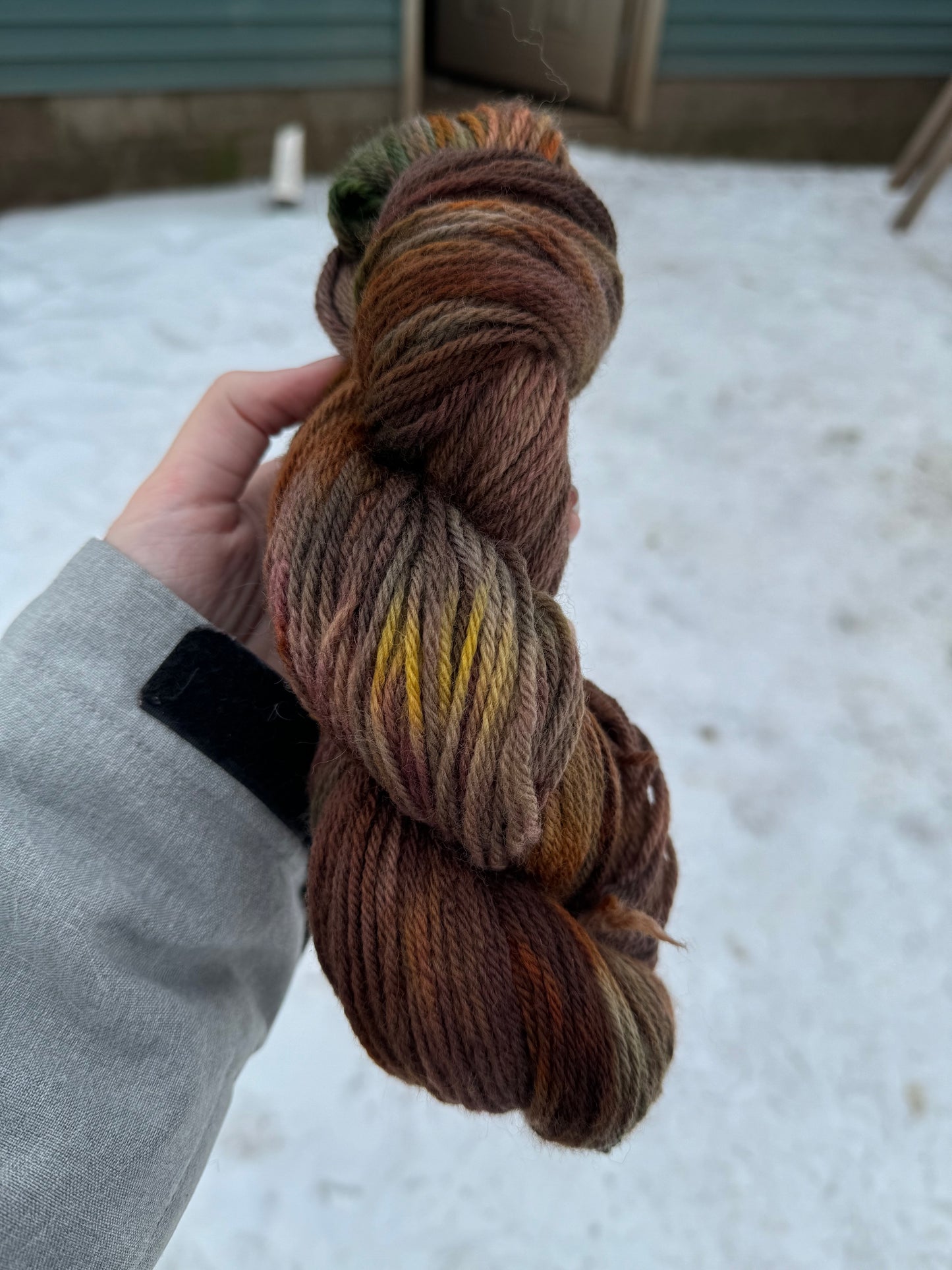 Garden - Hand Dyed Wool Yarn - Worsted