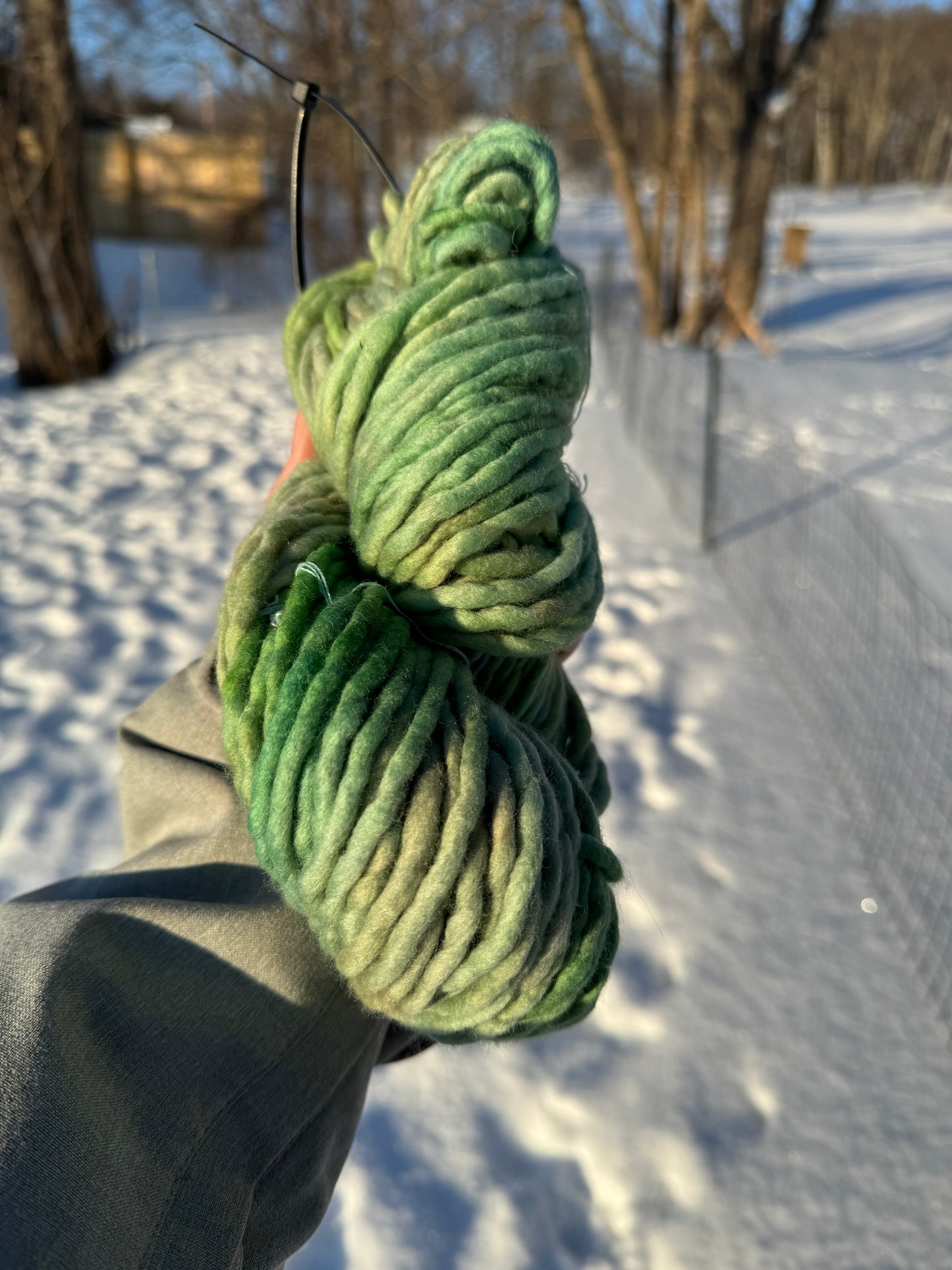 Sea Cucumber - Hand Dyed Wool Yarn - Super Bulky