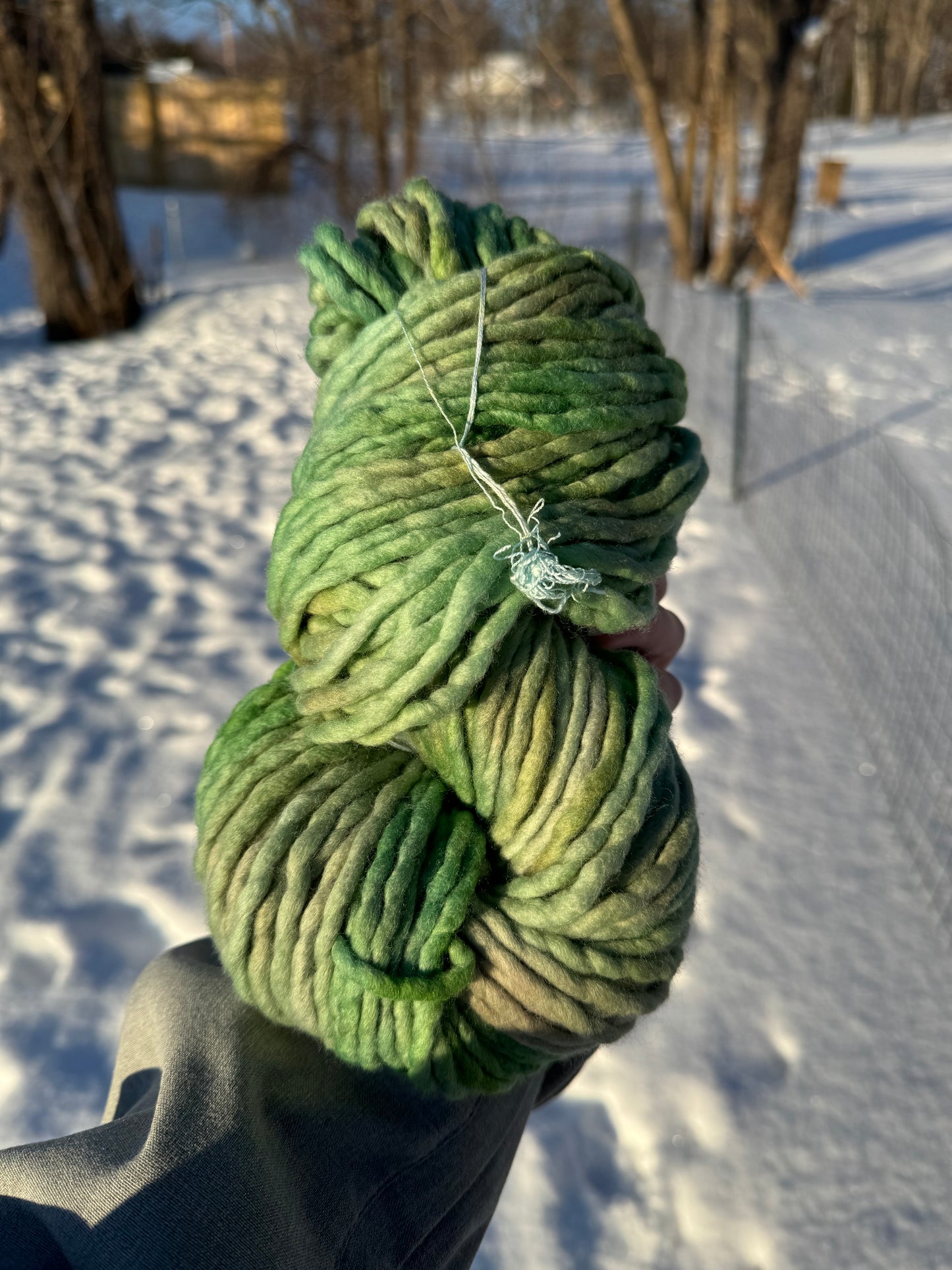 Sea Cucumber - Hand Dyed Wool Yarn - Super Bulky