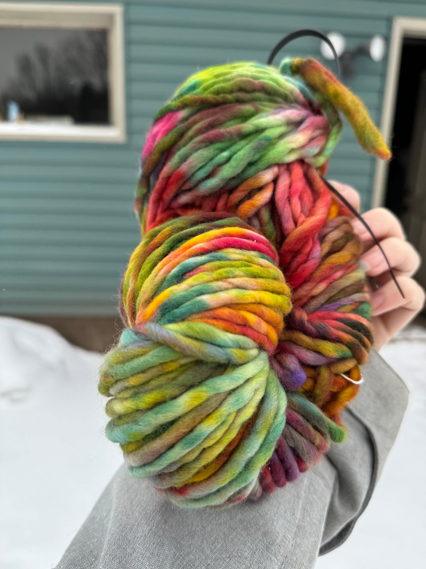 Circus- Hand Dyed Wool Yarn - Super Bulky